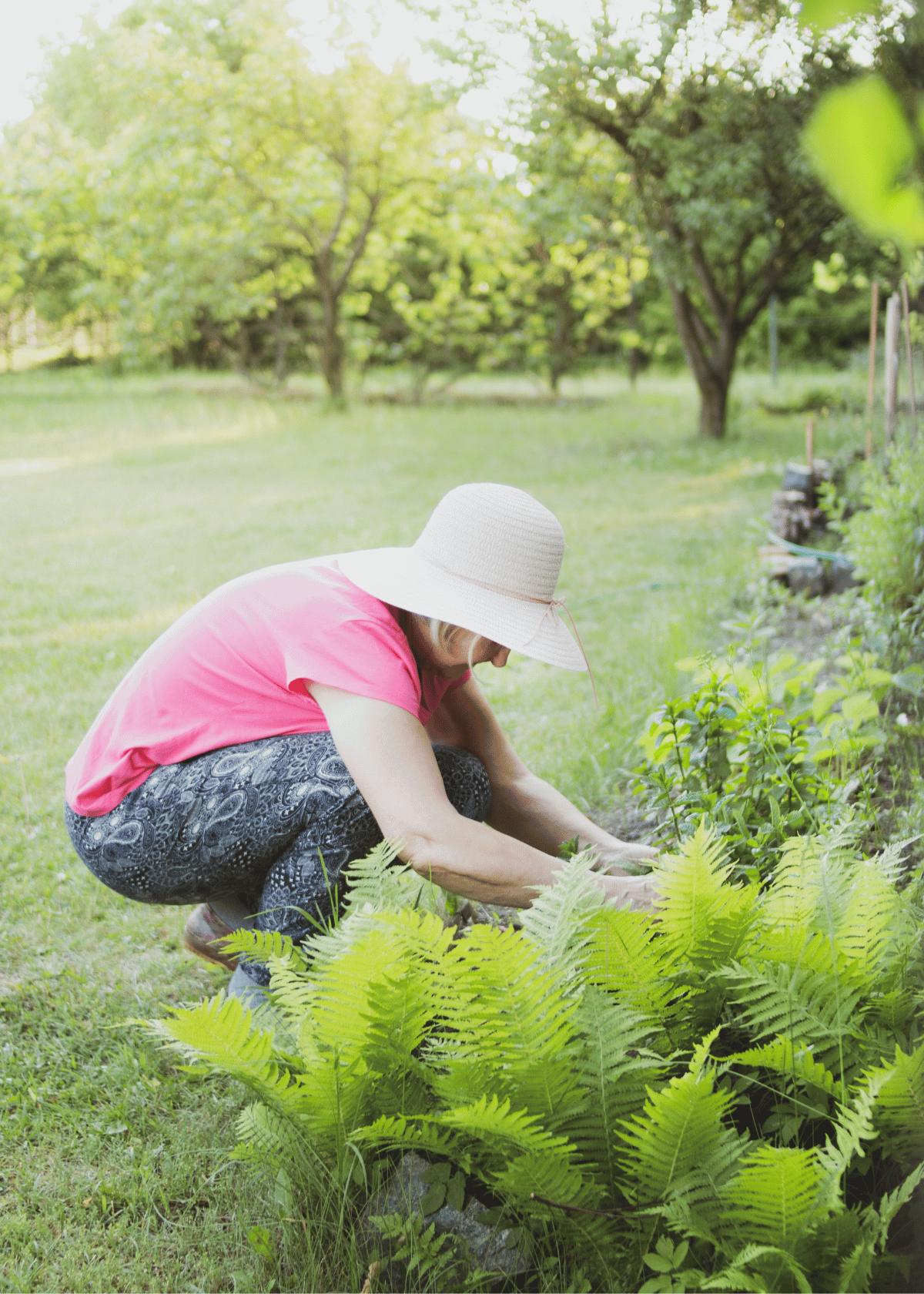 The Best Weed Eater String