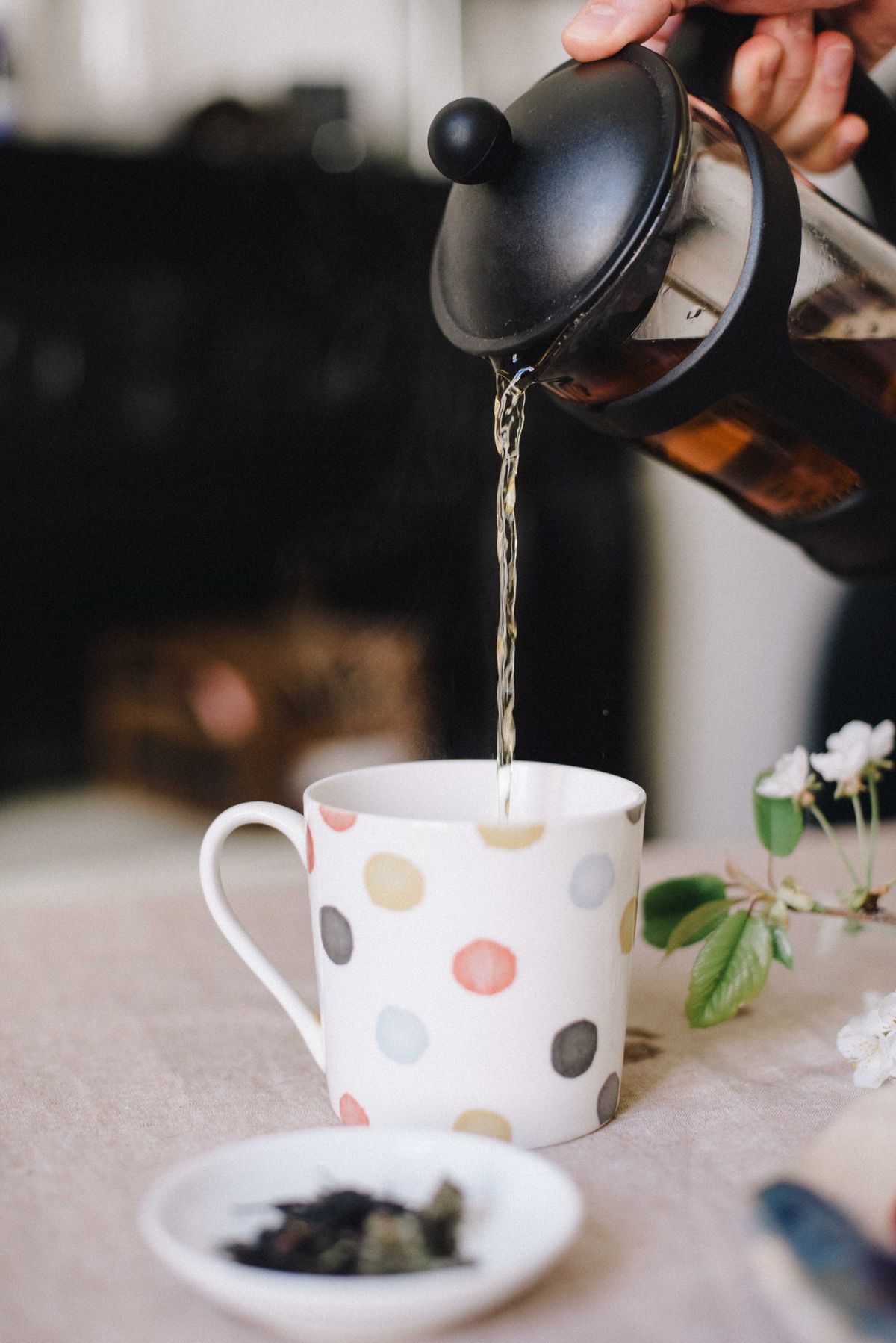 The 5 Best Cordless Tea Kettles for Every Tea Lover