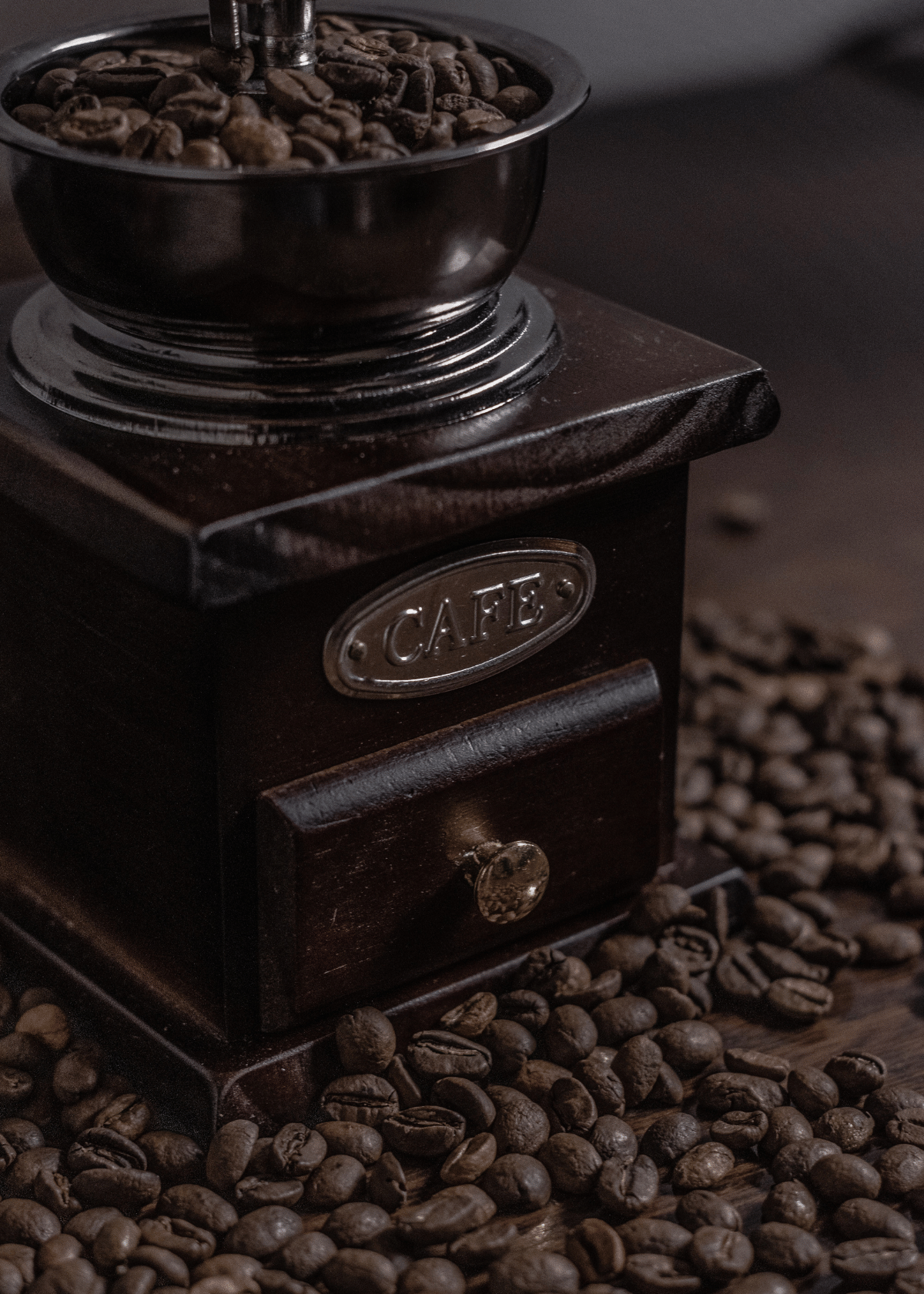 8 Best Coffee Grinders