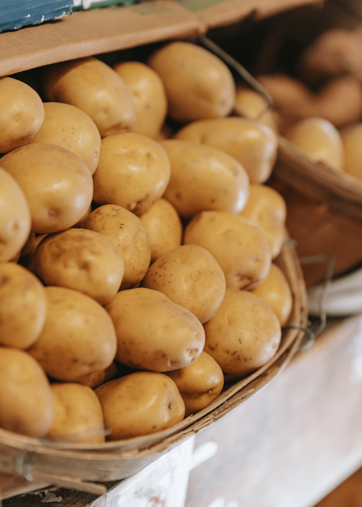 Six Best Potato Storage Container