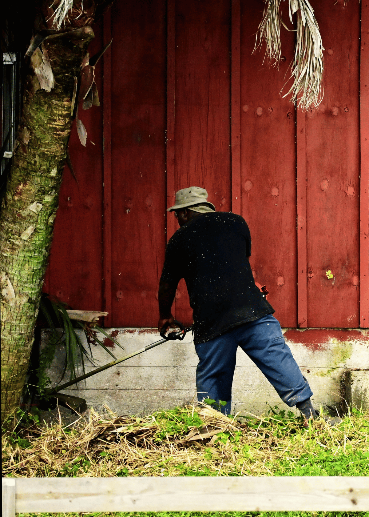 An In-Depth Review Of The Best Battery Weed Wacker