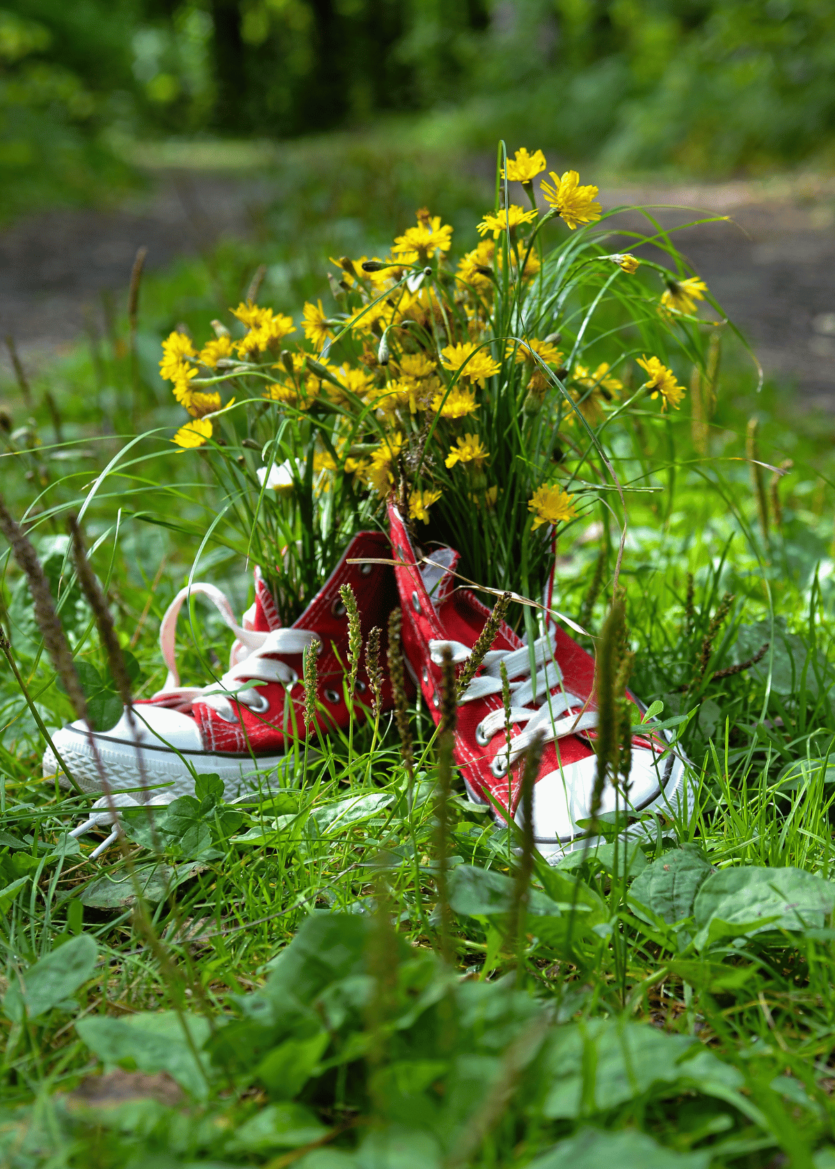 Comfortable and Protective: The Best Shoes for Yard Work That Will Keep You Going