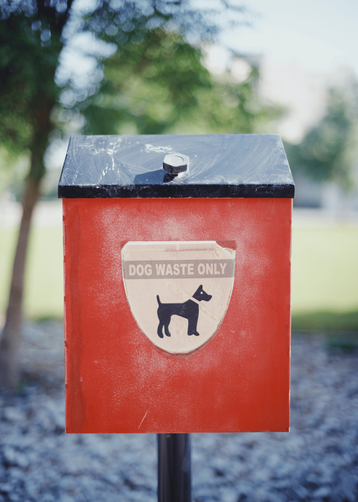 Best Dog Poop Trash Can for Disposing of Pet Waste Easily and Safely: A Comprehensive Guide for Every Pet Parent!