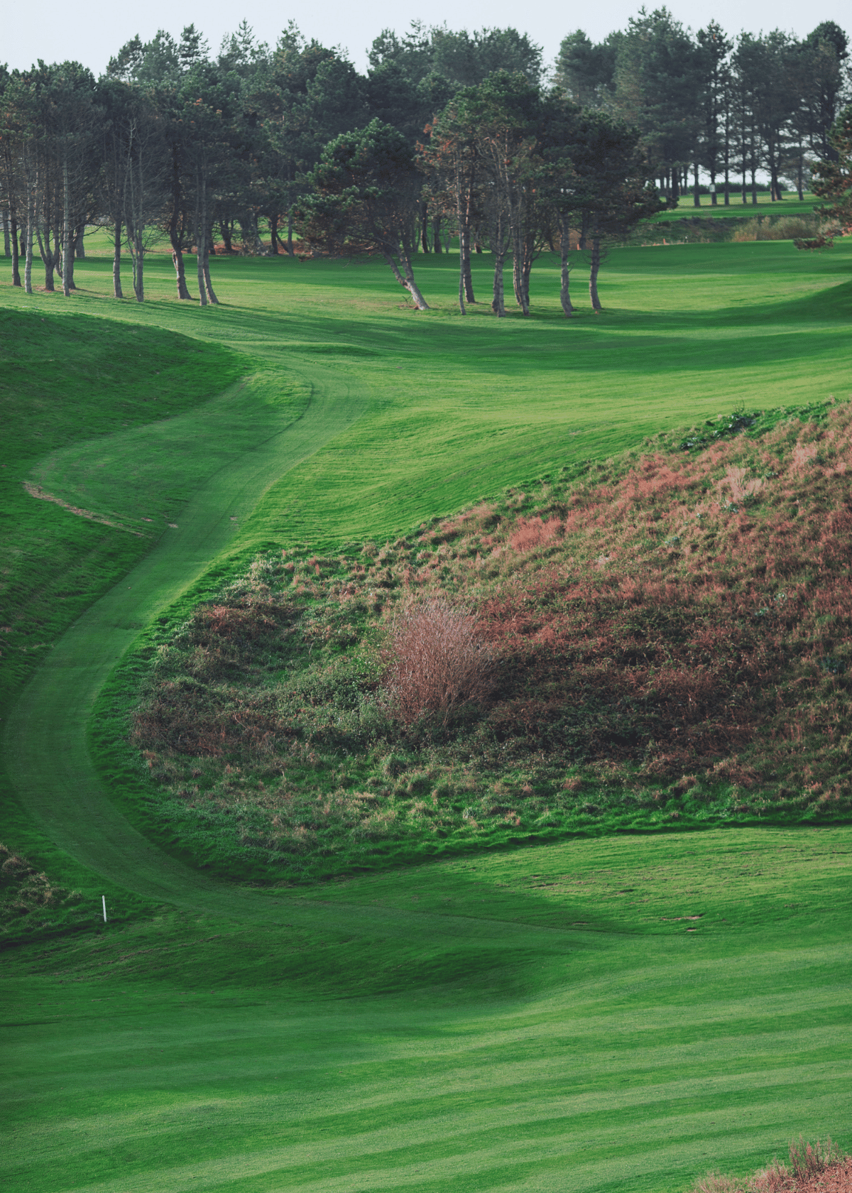 The Top 5 Best Mowers for Steep Hills: A Comprehensive Guide to the Most Powerful, Durable, and Versatile Options for Taking on Those Uphill Slopes!