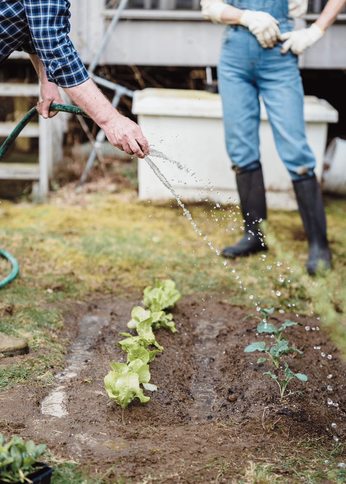 From Winding to Watering: How the Best Hose Reel Cart Makes Gardening Easier