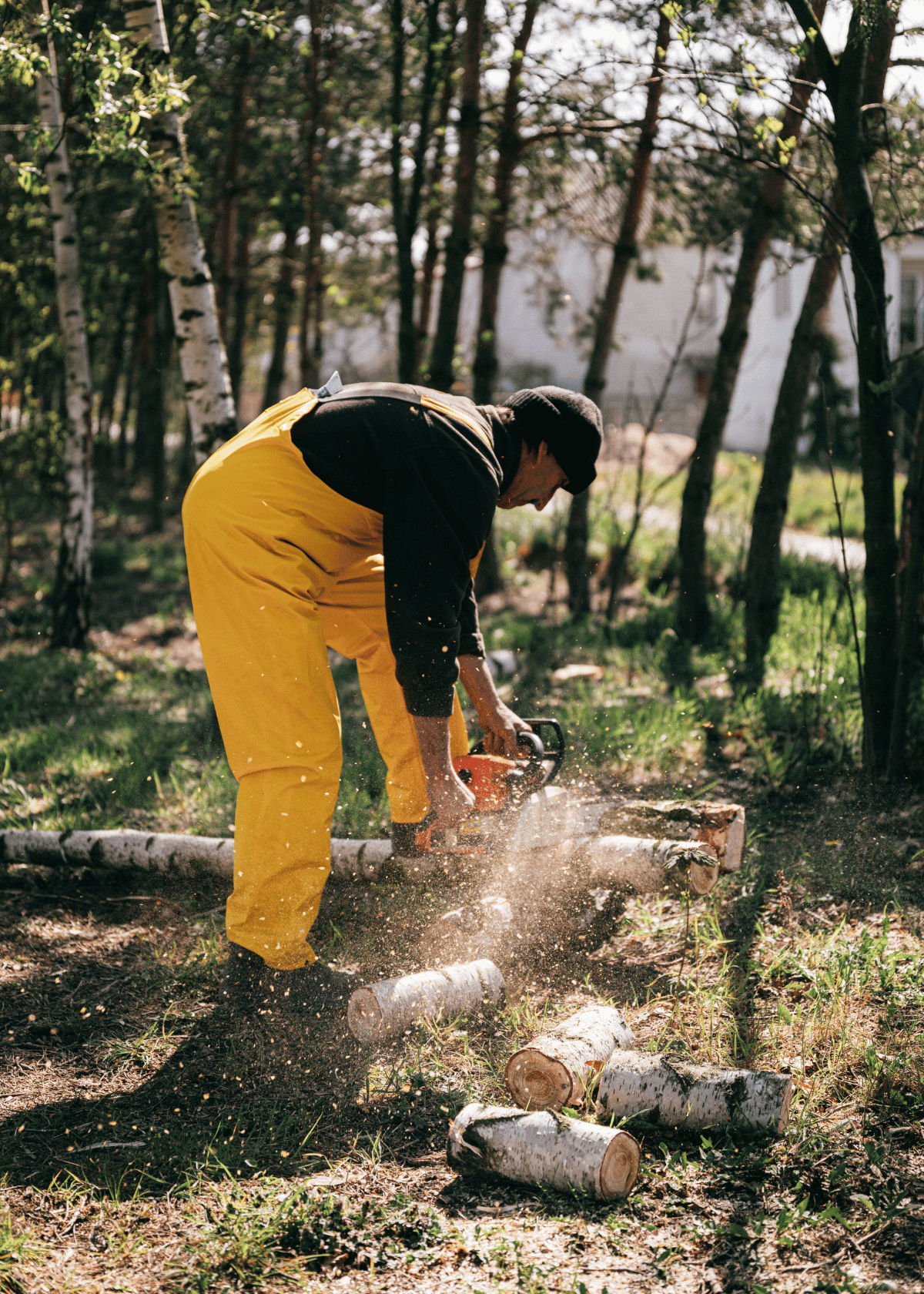 The 8 BEST Chainsaws for Cutting Down Trees: Discover the Most Powerful, Efficient & Durable Chainsaws to Make Branch-Trimming & Tree-Felling Easier than Ever!