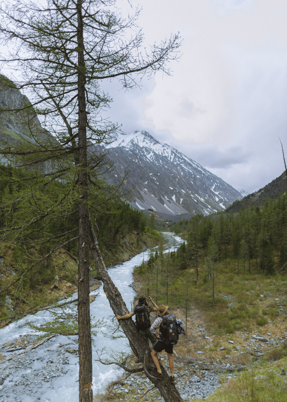 Reach New Heights with The Best Tree Climbing Boots