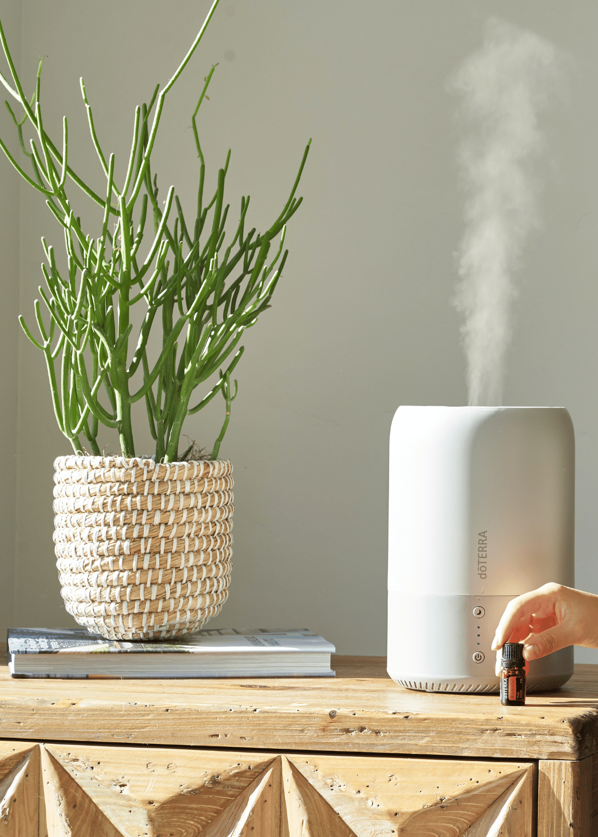 The Ultimate Product Review: Discover the Best Humidifiers For Plants