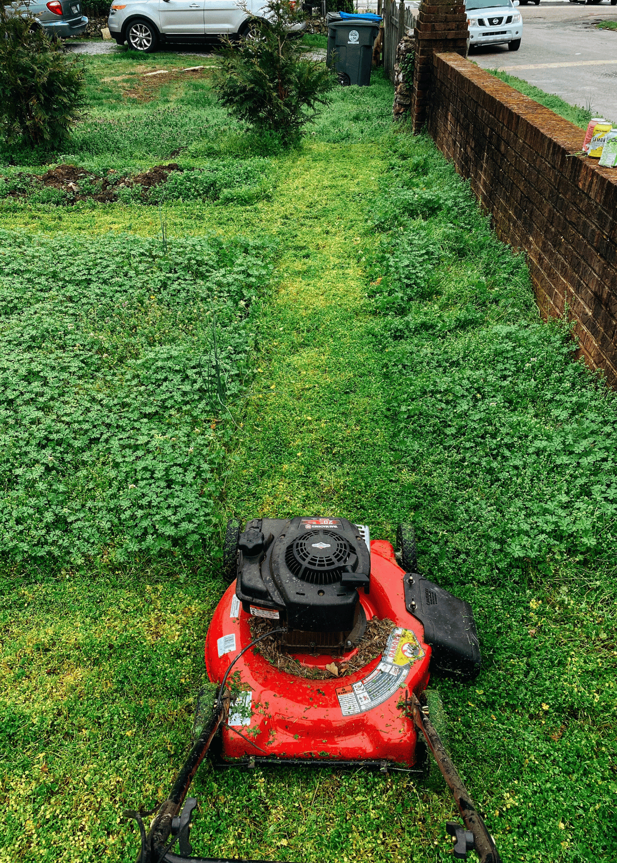 How Much Oil To Put In Lawn Mower? A Comprehensive Guide