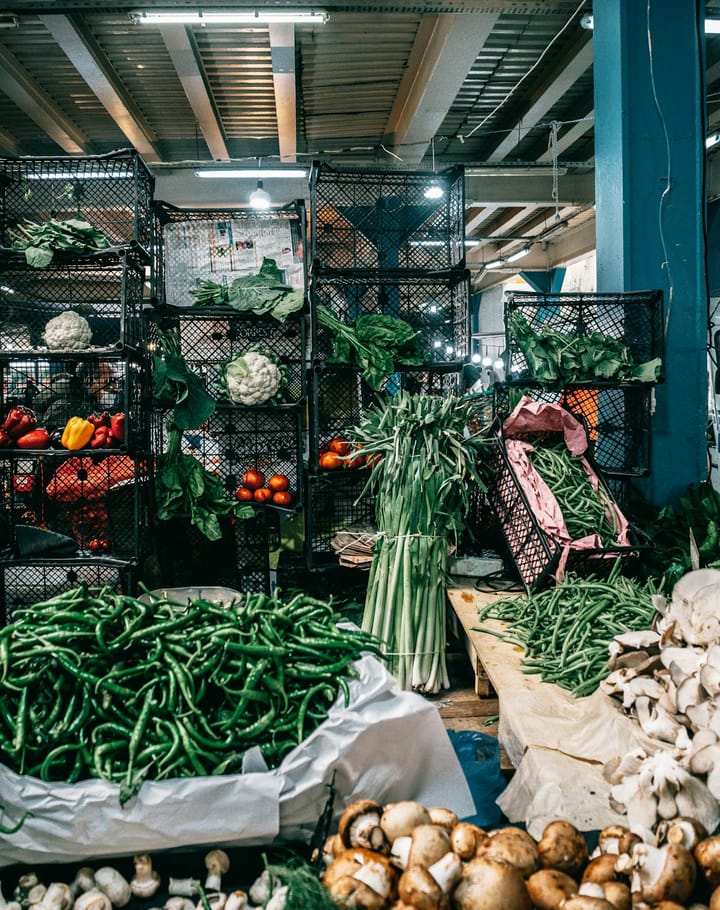 The Ultimate Food Storage Showdown: A Deep Dive into 5 Top-Tier Containers